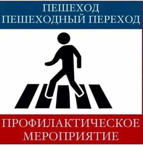 Профилактическое мероприятие  «Пешеход. Пешеходный переход!»